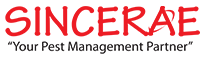 Sincerae logo